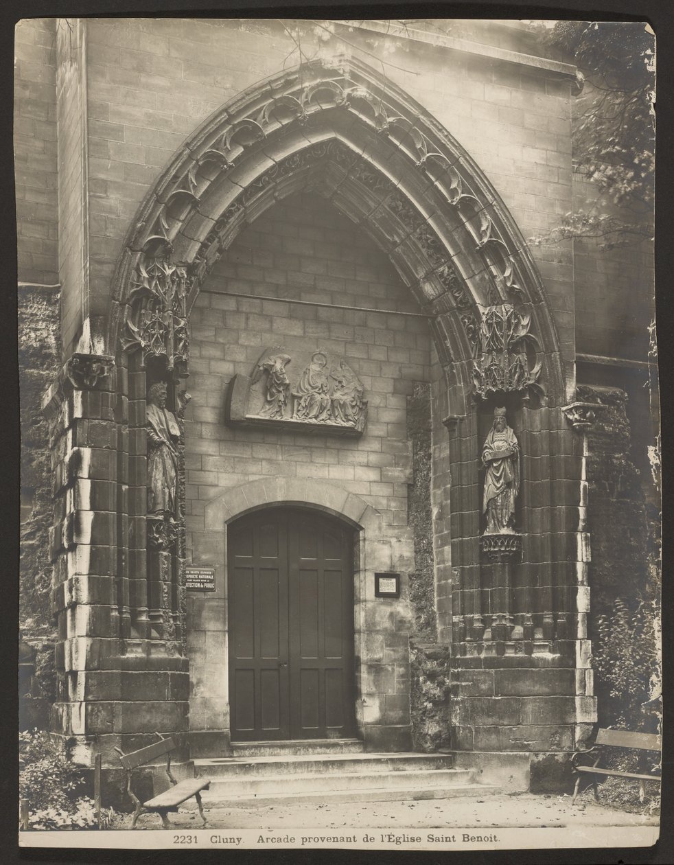 Cluney av Adolphe Braun