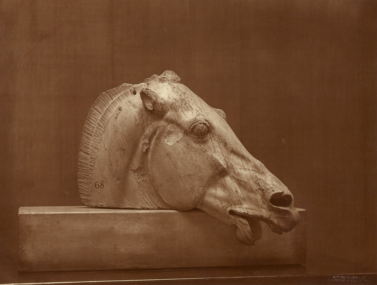 [Hestehode fra Parthenons fronton, British Museum] av Adolphe Braun