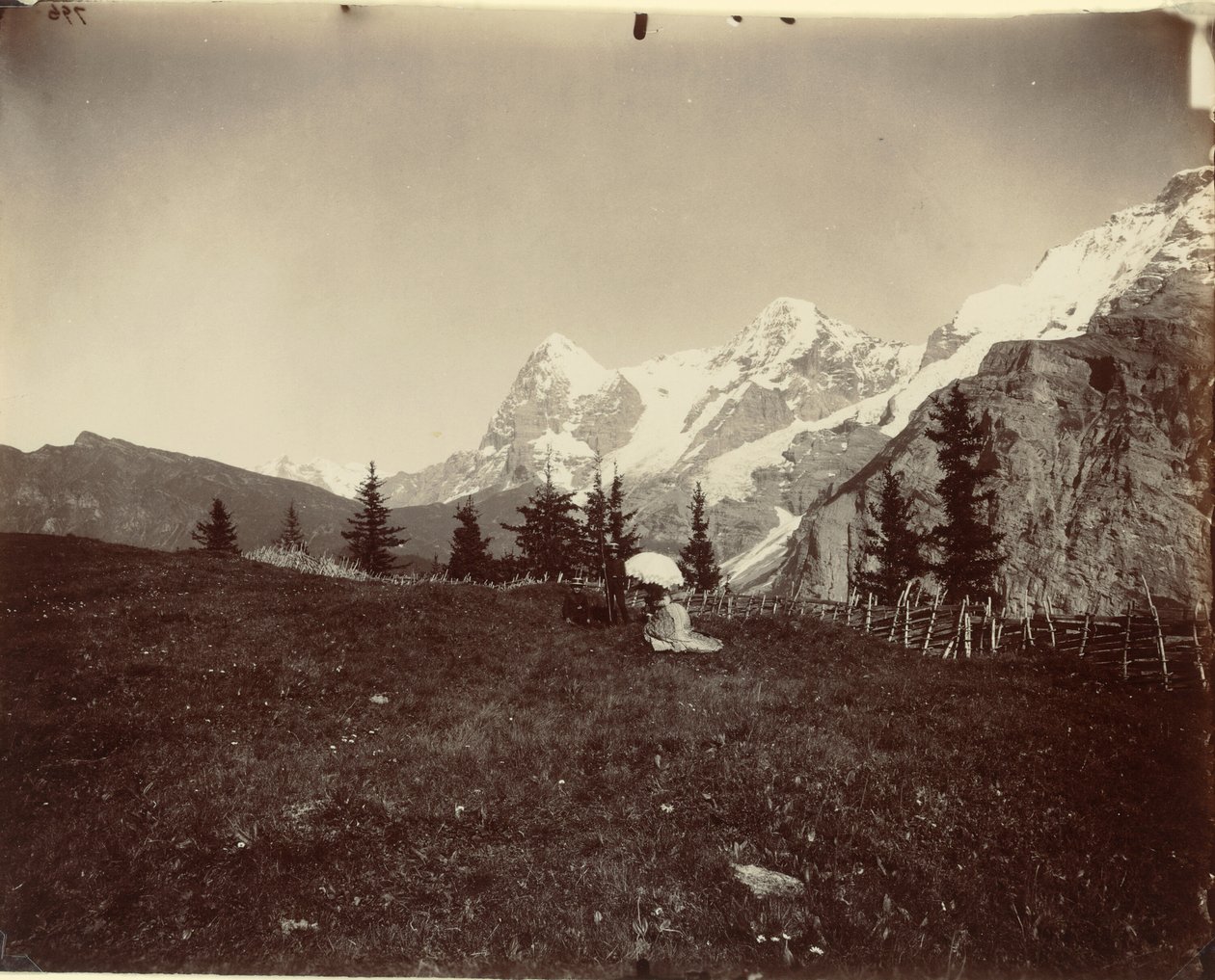 Landskap, Sveits av Adolphe Braun