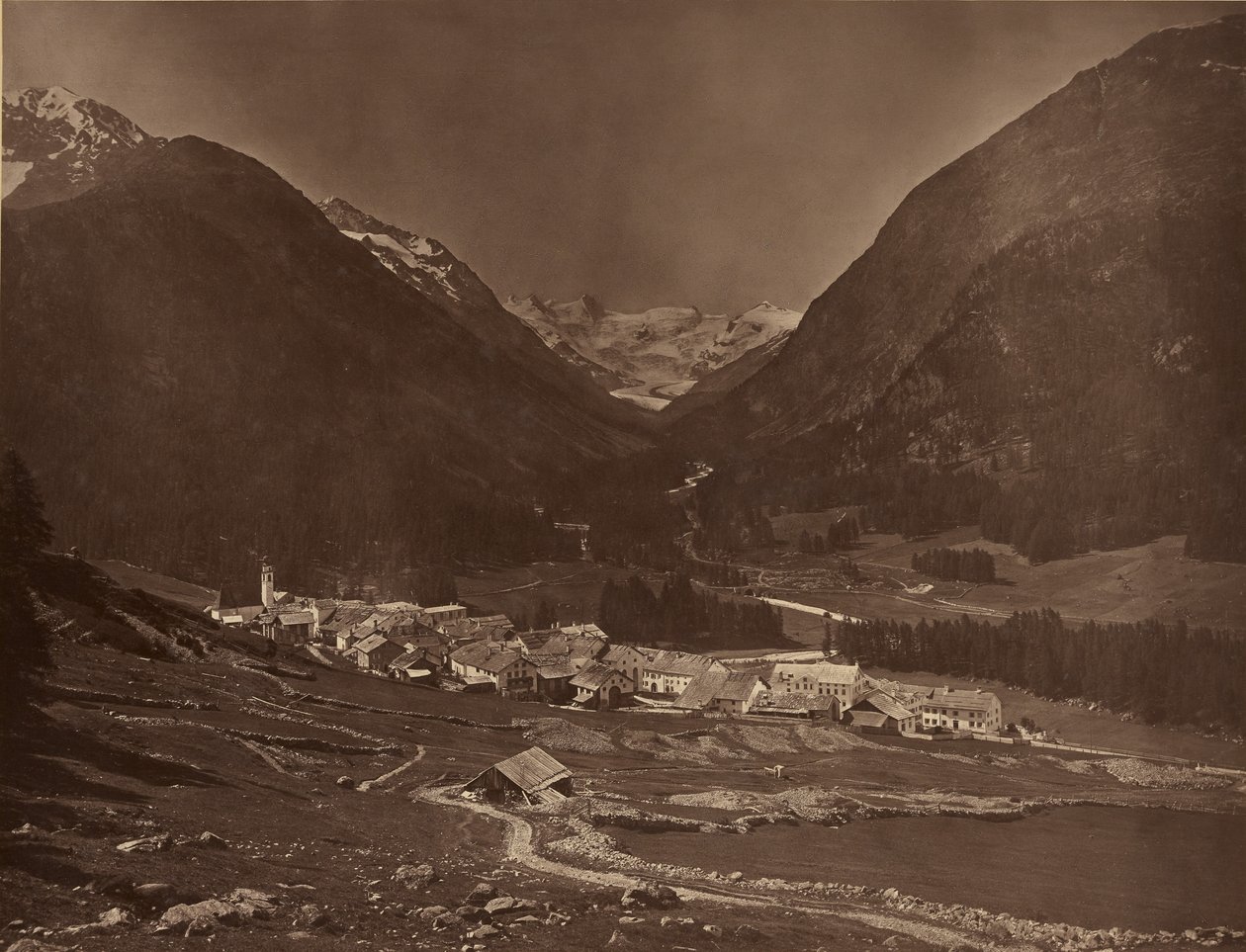  av Adolphe Braun
