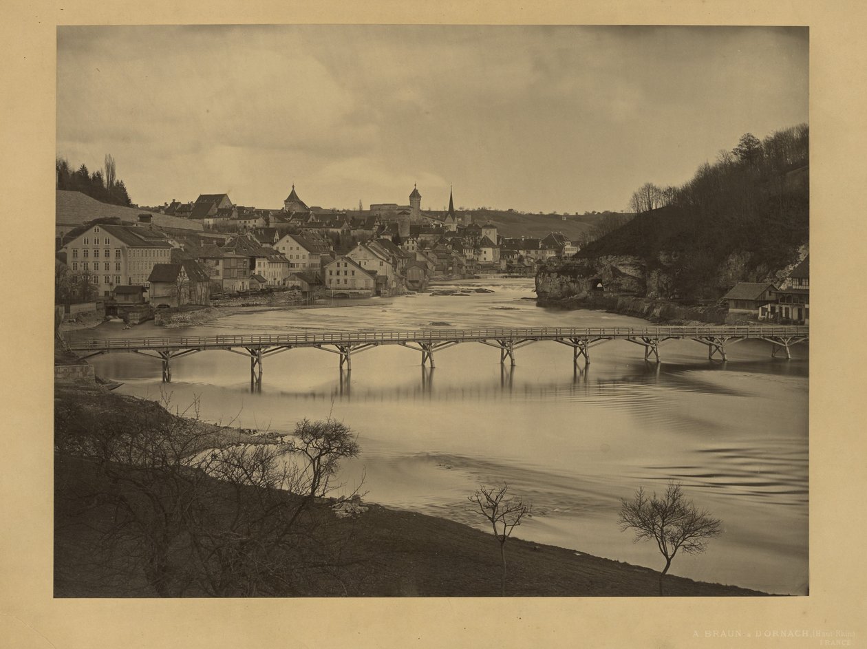 Utsikt over Schaffhausen, Sveits av Adolphe Braun