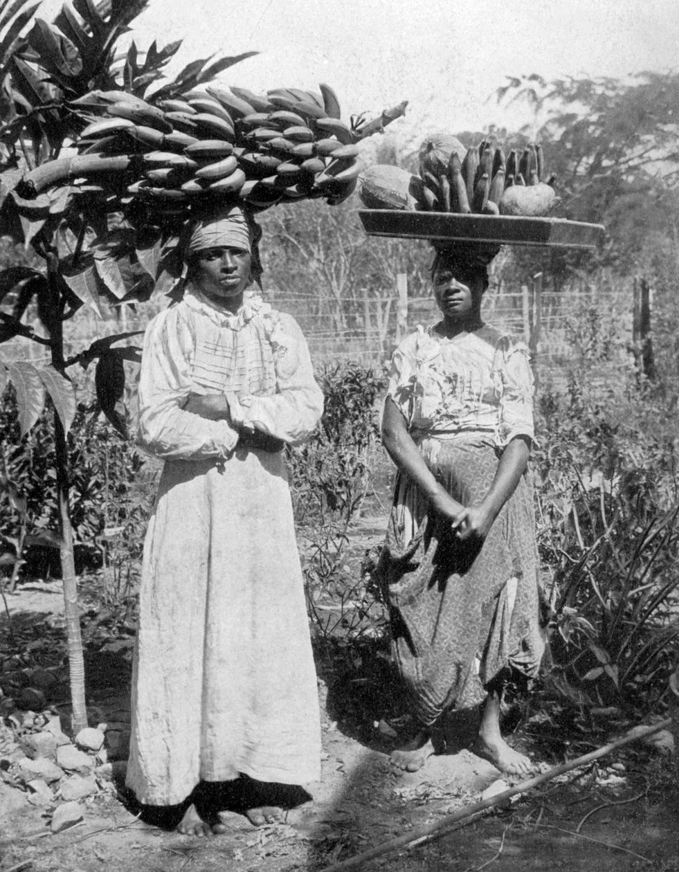 Fruktselgere, Jamaica, c1905 av Adolphe Duperly and Son