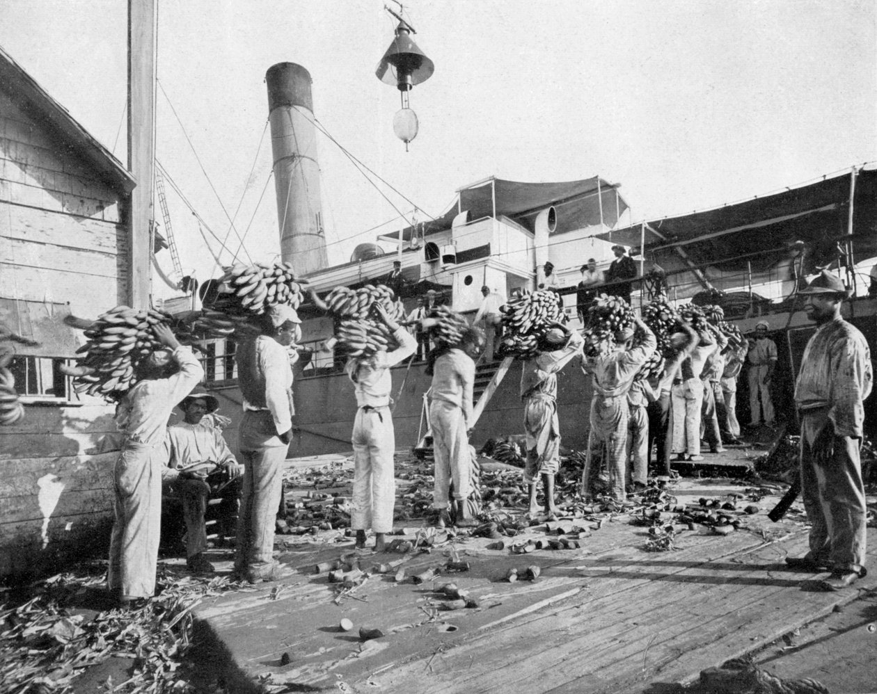 Laster bananer, Port Antonio, Jamaica, c1905. av Adolphe Duperly and Son