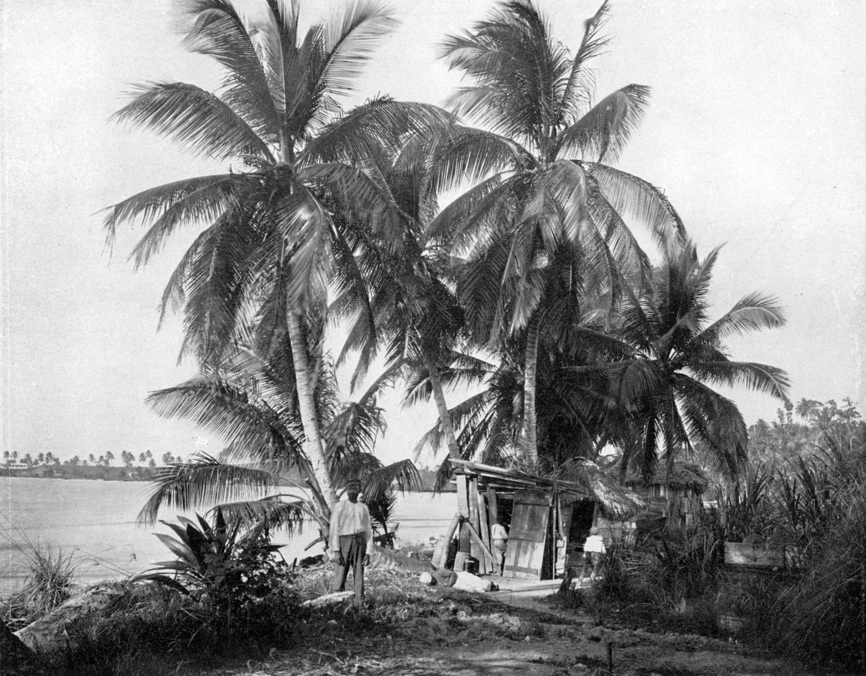 På veien til Blue Hole, Port Antonio, Jamaica, c1905. av Adolphe Duperly and Son