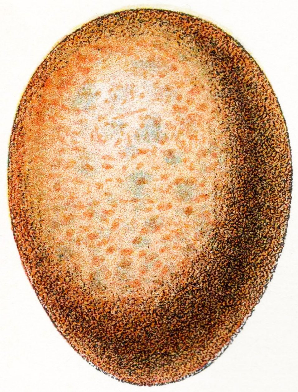 Falkegg, 1923 av Adolphe Philippe Millot