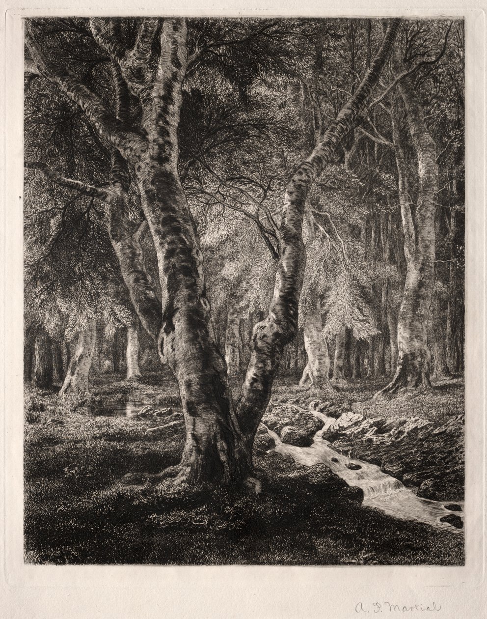 Forest of Pierrefonds av Adolphe Théodore Jules Martial Potémont