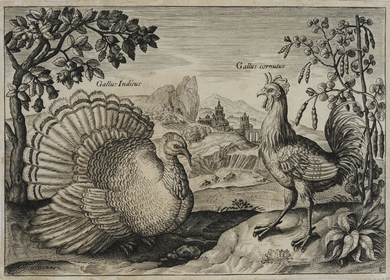 Gammel mestergravering av Adriaen Collaert