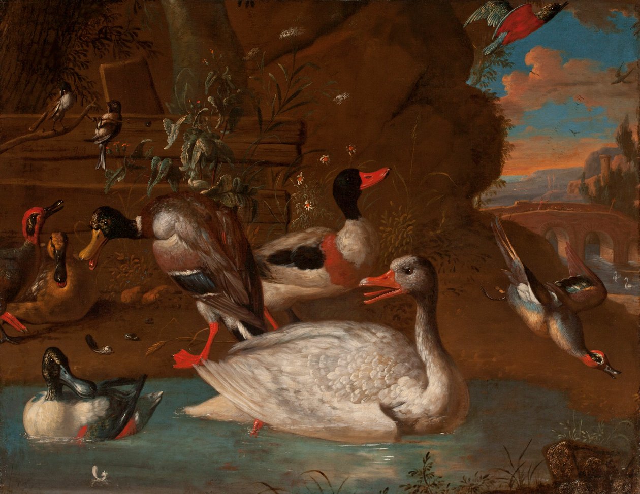 En norsk hvit gås omgitt av en Shelduck, Mallard, Shovelers, Teals og Long-tailed Meis i et italiensk landskap ved skumring, 1703 av Adriaen van Oolen
