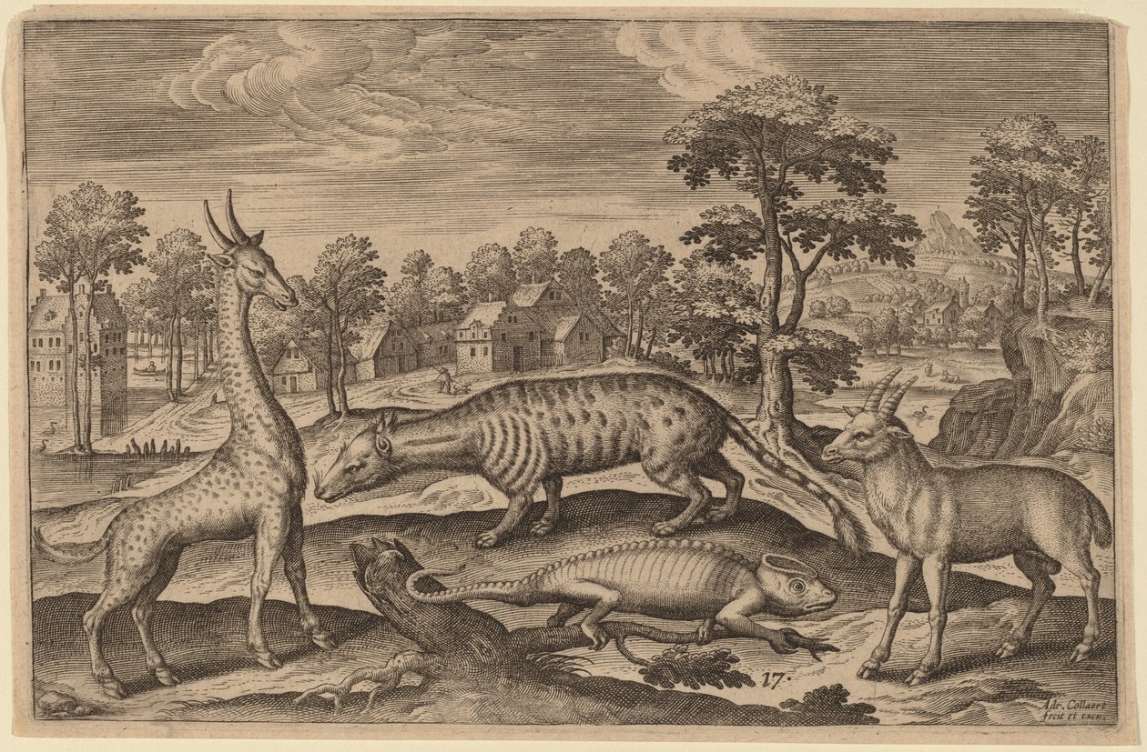 En giraff, en kameleon, en sivet og en antilope av Adriaen Collaert