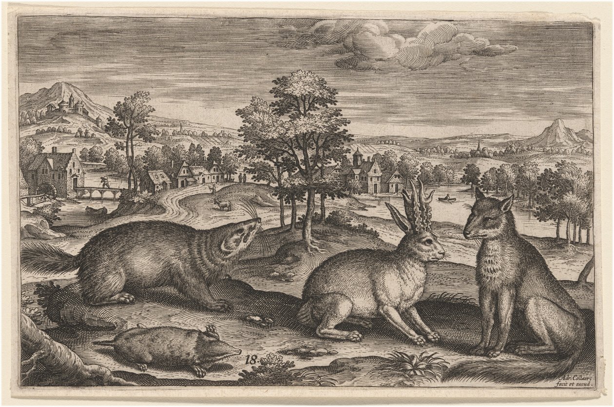 En muldvarp, en grevling, en hornet hare og en rev av Adriaen Collaert