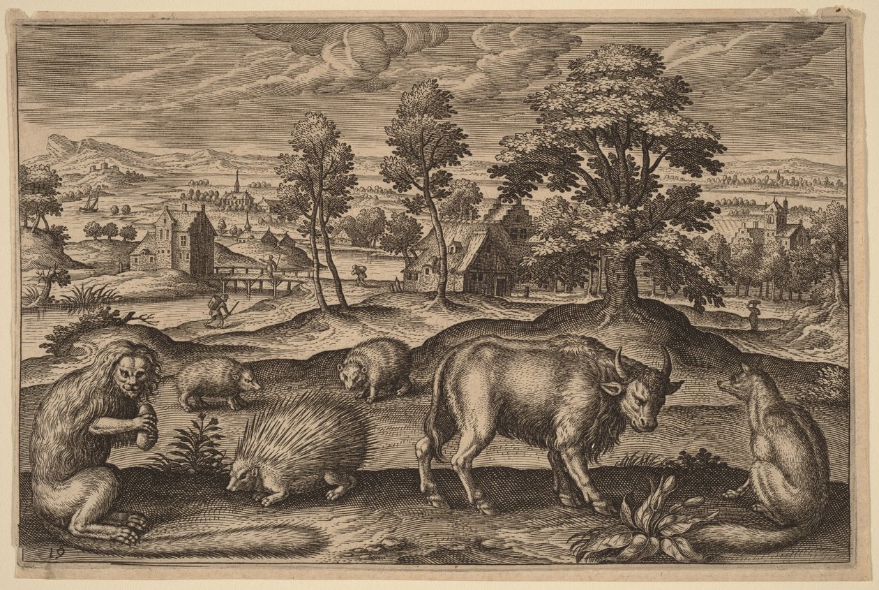 En ape, et piggsvin, to pinnsvin, en bøffel og en rev av Adriaen Collaert