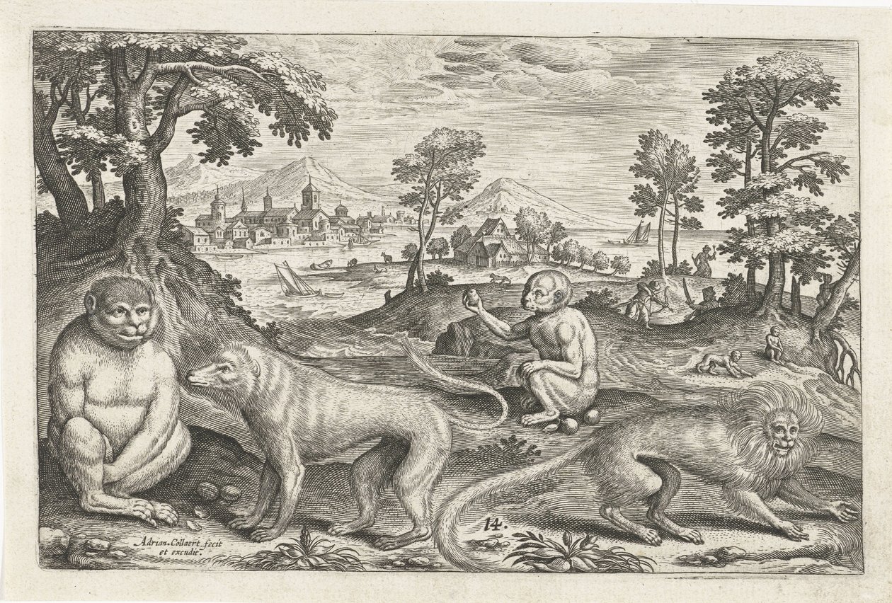 Aper Firbeinte dyr (serietittel) Animalivm Qvaddrvpedvm (serietittel) av Adriaen Collaert