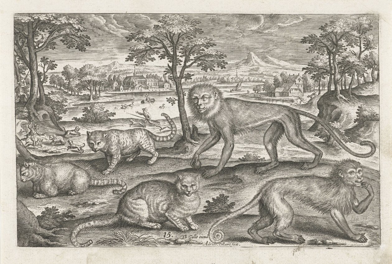 Aper og katter Firebeinte dyr (serietittel) Animalivm Qvaddrvpedvm (serietittel) av Adriaen Collaert