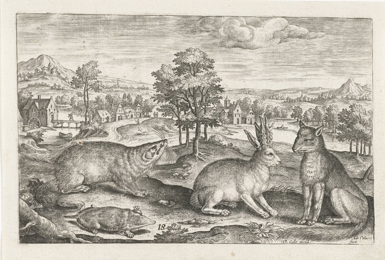 skogdyr Firebeinte dyr (serietittel) Animalivm Qvaddrvpedvm (serietittel) av Adriaen Collaert