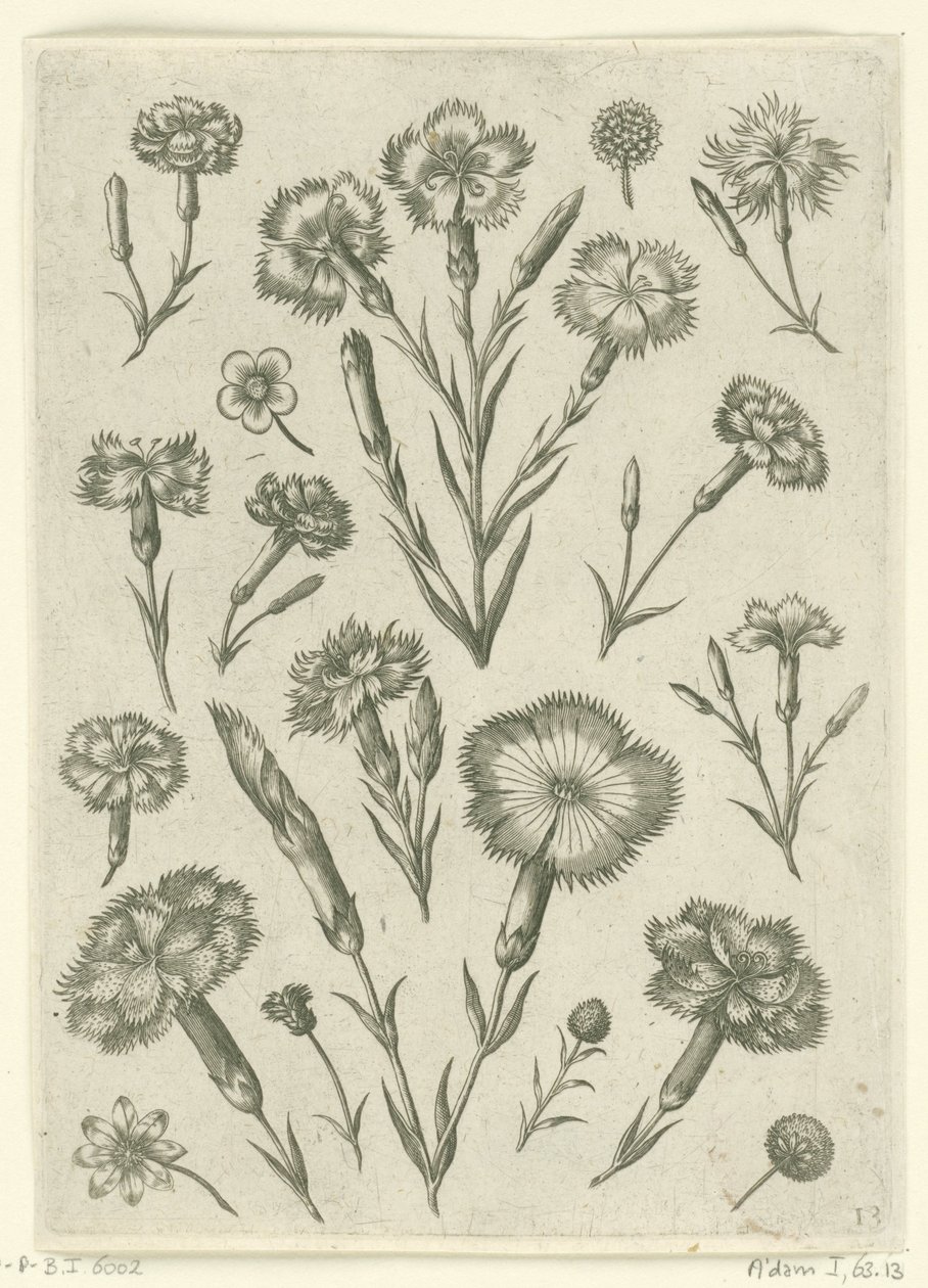 Ulike sinne Florilegium (serietittel) av Adriaen Collaert