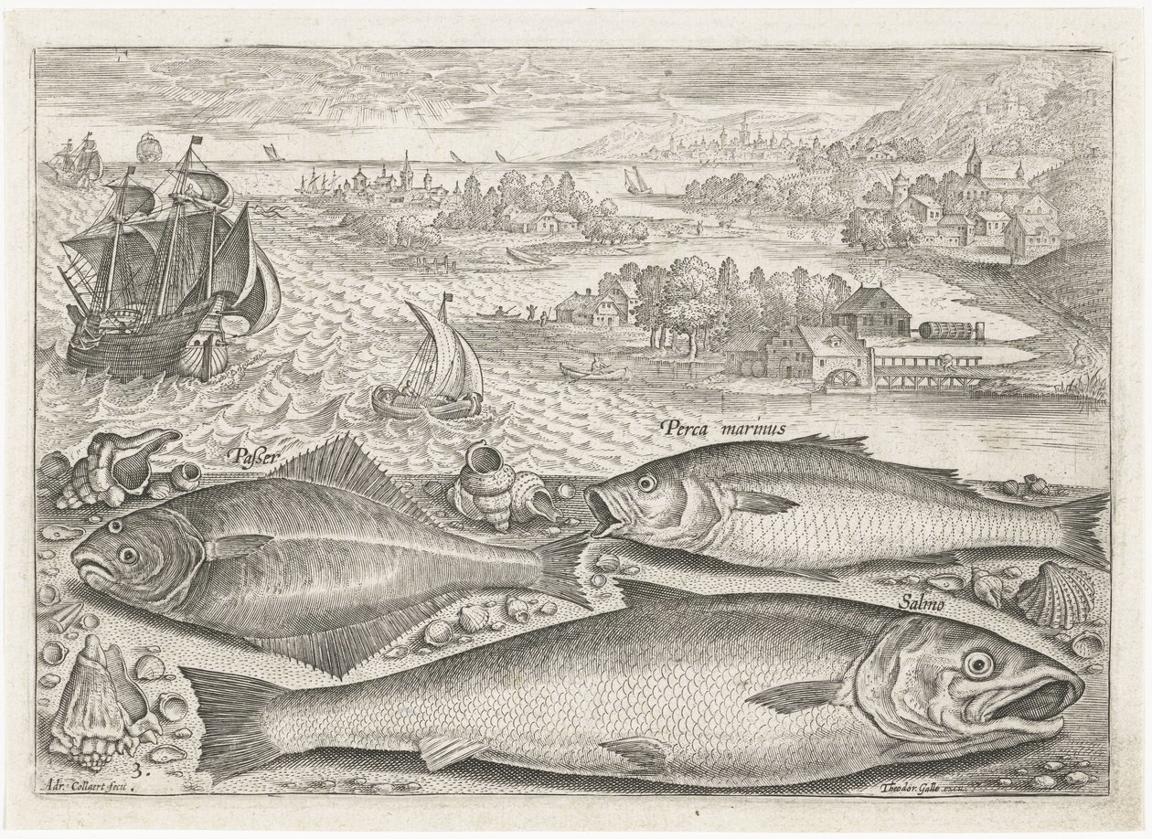 Tre fisker på stranden Fiske (serietittel) Piscium vivae-ikoner (serietittel) av Adriaen Collaert