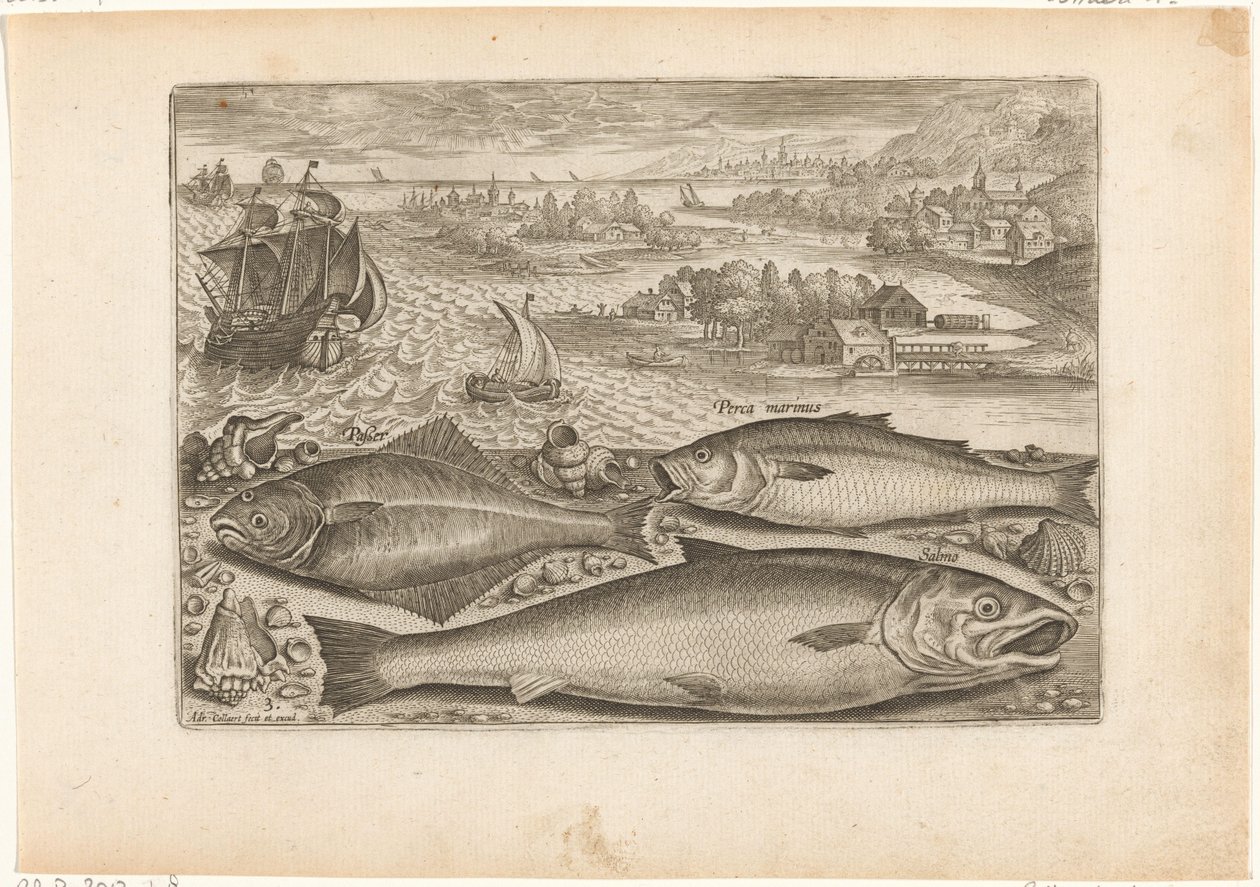 Tre fisker på stranden Fiske (serietittel) Piscium vivae-ikoner (serietittel) av Adriaen Collaert