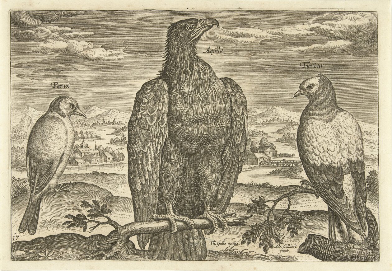 Tre fugler i et landskap Avivm Vivae (serietittel) Fugler (serietittel) av Adriaen Collaert