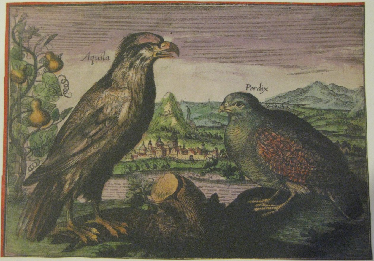  av Adriaen Collaert