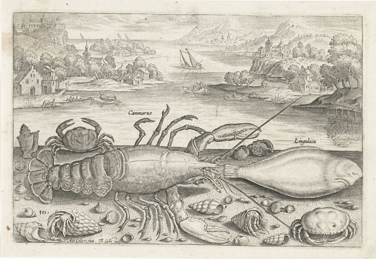 En fisk og noen krepsdyr på stranden Fiske (serietittel) Piscivm vivae-ikoner (serietittel) av Adriaen Collaert