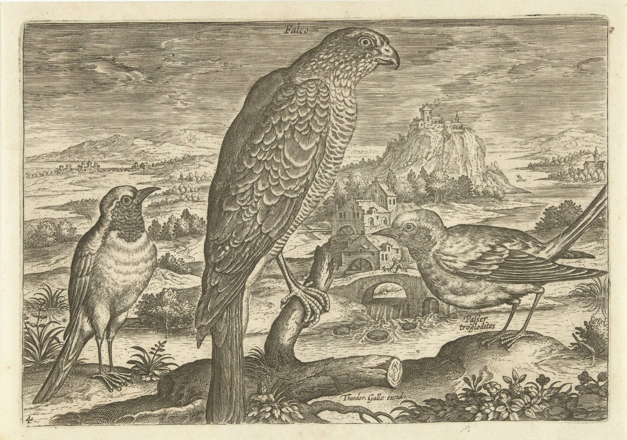 Noen fugler i et landskap Fugler (serietittel) Avivm vivae (serietittel) av Adriaen Collaert