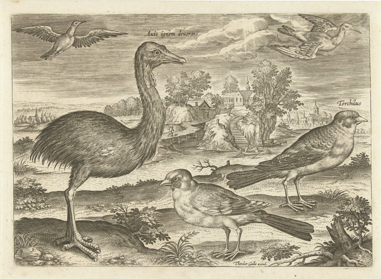 Noen fugler i et landskap Fugler (serietittel) Avivm vivae (serietittel) av Adriaen Collaert