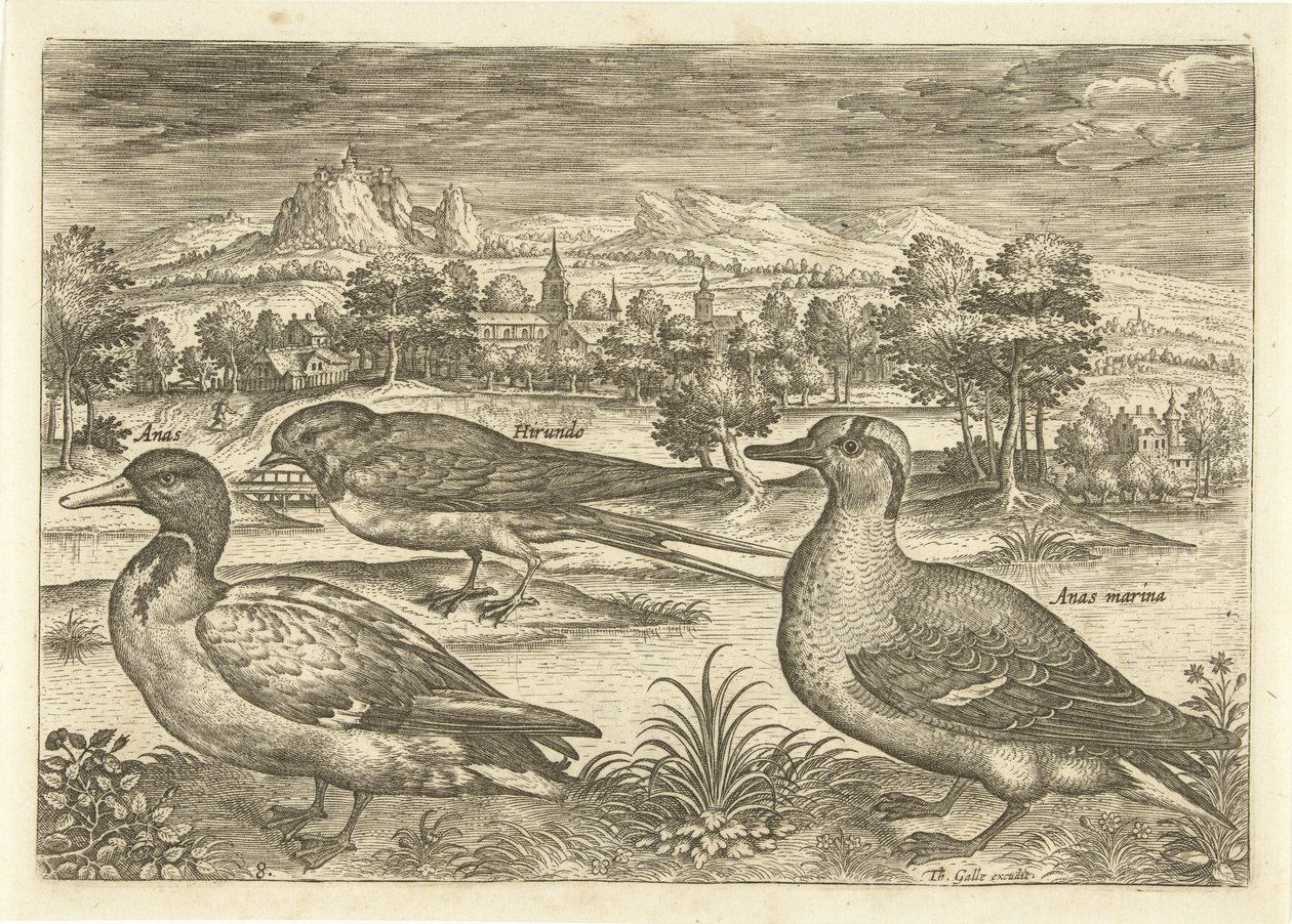 Noen fugler i et landskap Fugler (serietittel) Avivm vivae (serietittel) av Adriaen Collaert