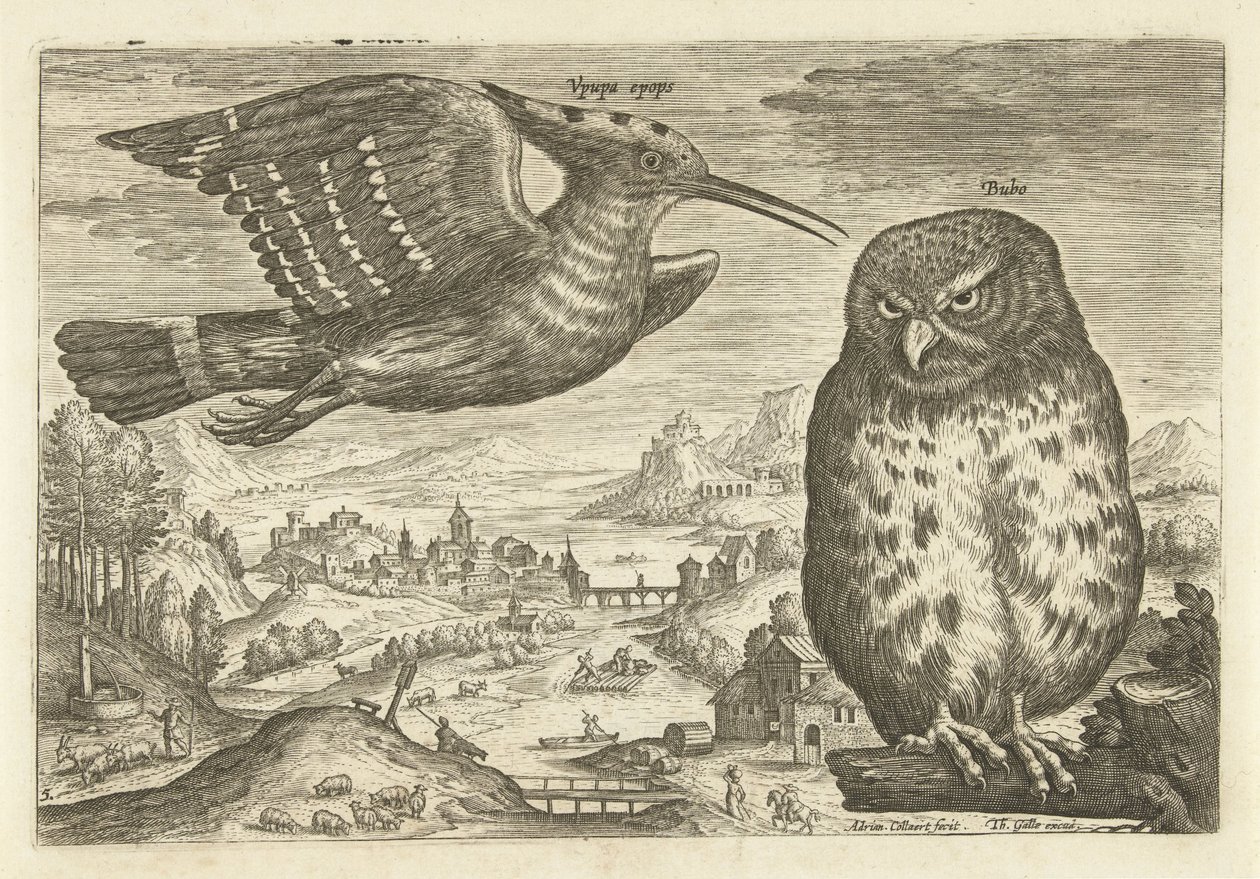 Noen fugler i et landskap Fugler (serietittel) Avivm vivae (serietittel) av Adriaen Collaert