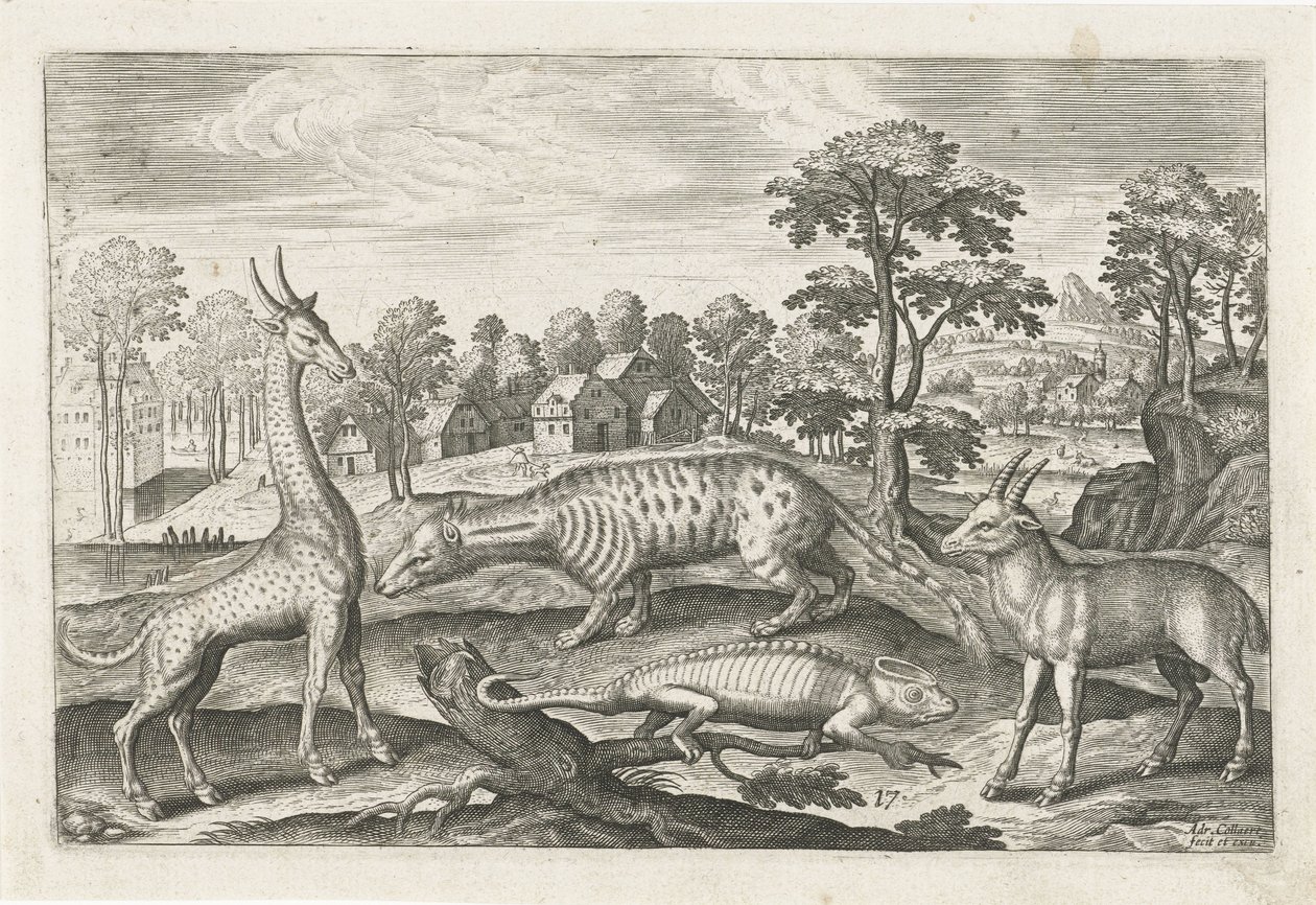 eksotiske dyr Firebeinte dyr (serietittel) Animalivm Qvaddrvpedvm (serietittel) av Adriaen Collaert