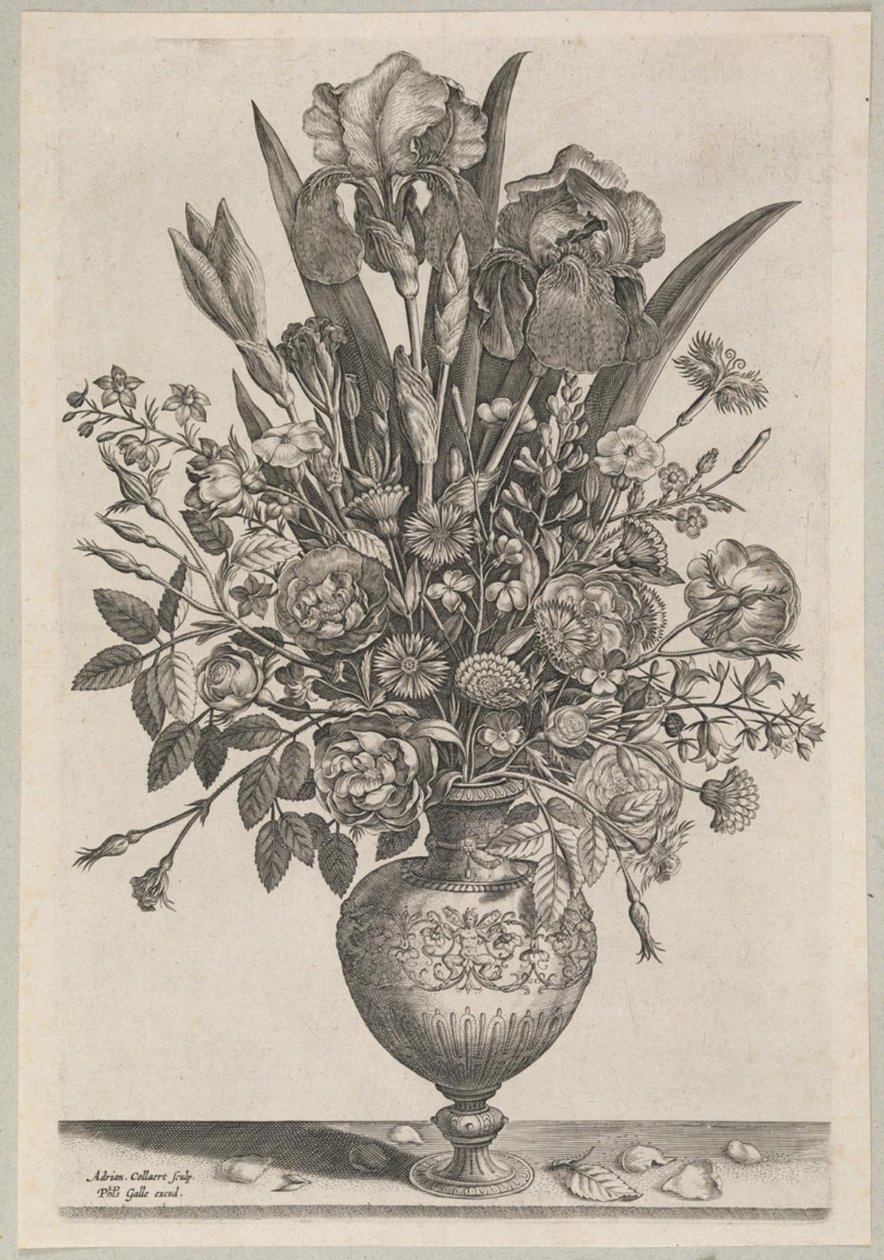 Blomsterstykke med iris av Adriaen Collaert