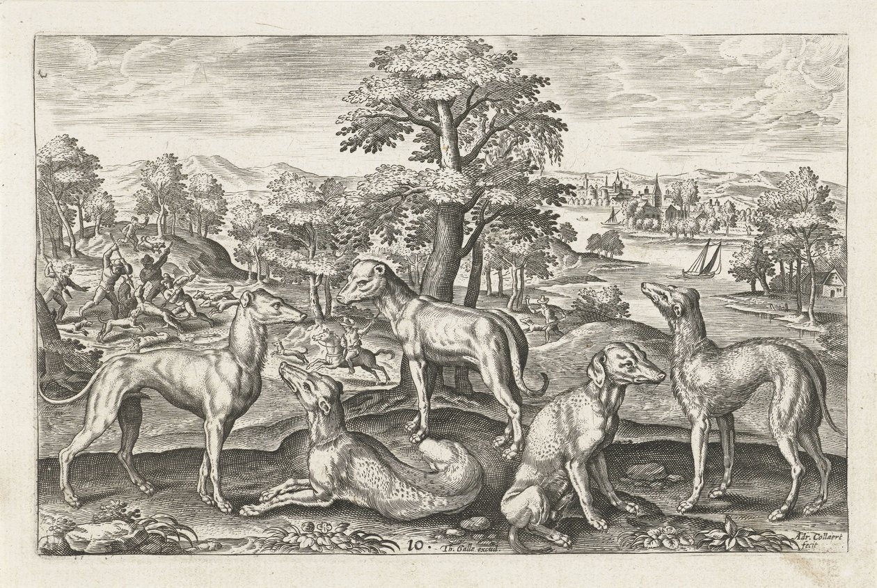 jakthunder Firebeinte dyr (serietittel) Animalivm Qvaddrvpedvm (serietittel) av Adriaen Collaert