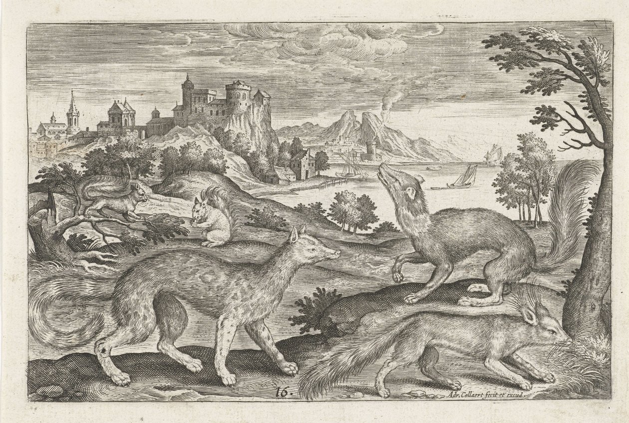 Mår, ekorn og en rev Firebeinte dyr (serietittel) Animalivm Qvaddrvpedvm (serietittel) av Adriaen Collaert