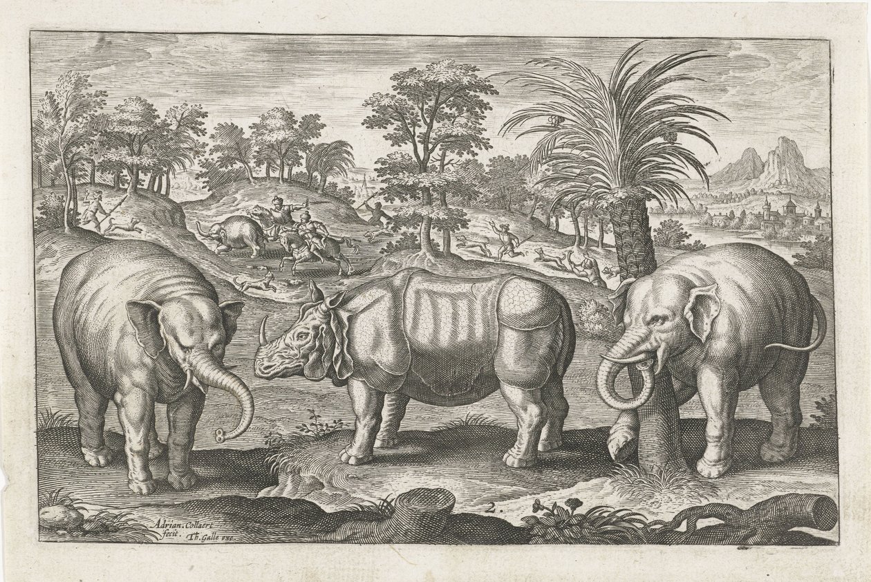 Elefanter og neshorn Firebeinte dyr (serietittel) Animalivm Qvaddrvpedvm (serietittel) av Adriaen Collaert