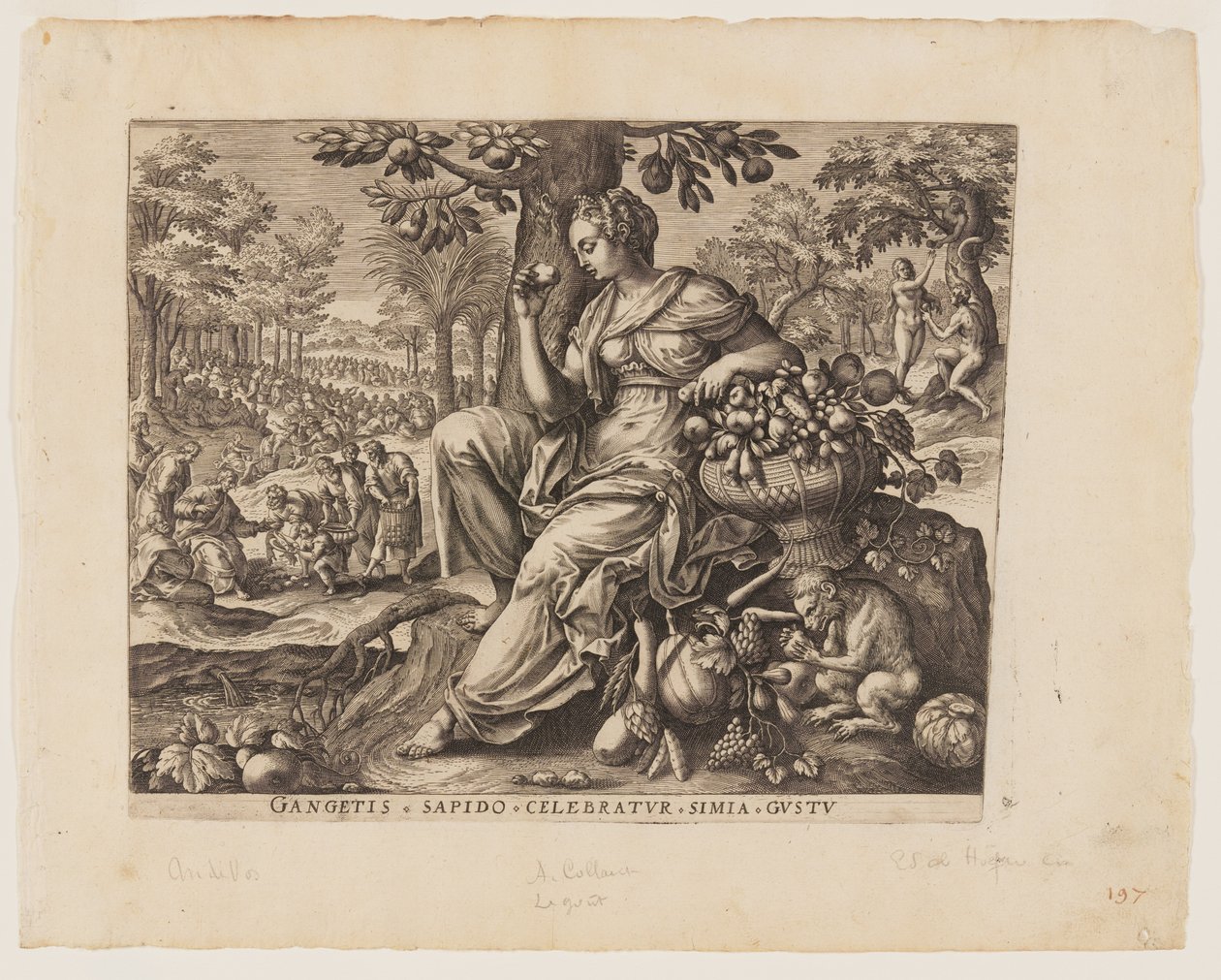  av Adriaen Collaert