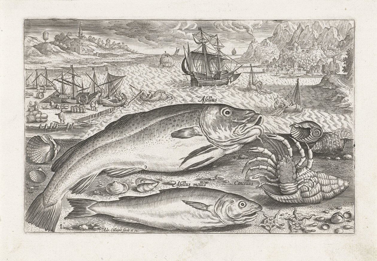 To fisker på stranden Fiske (serietittel) Piscium vivae-ikoner (serietittel) av Adriaen Collaert