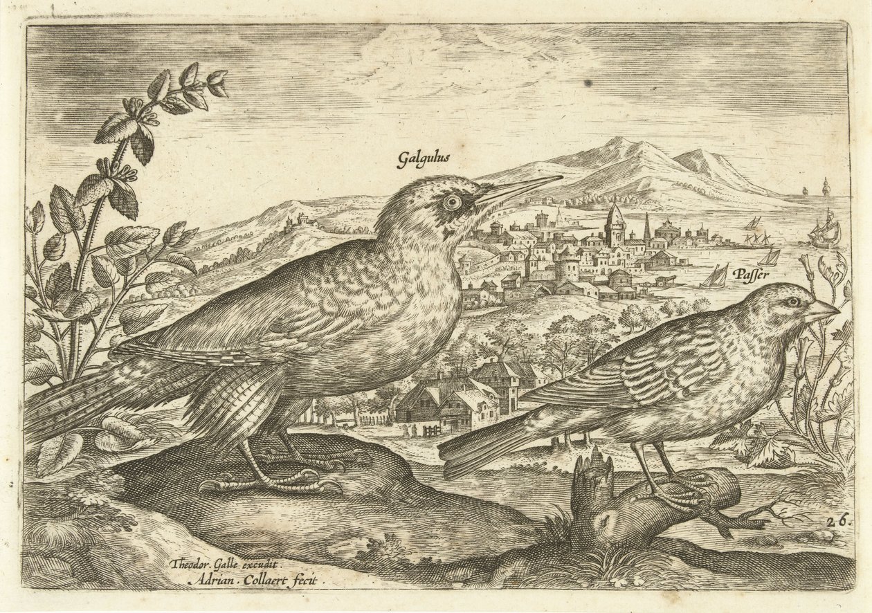 To fugler i et landskap Avium Vivae (serietittel) Fugler (serietittel) av Adriaen Collaert