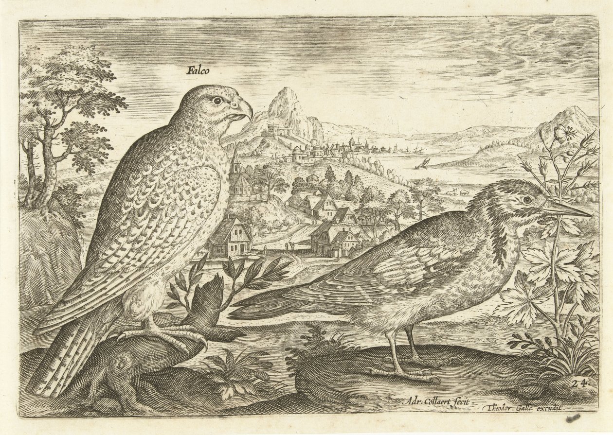 To fugler i et landskap Avium Vivae (serietittel) Fugler (serietittel) av Adriaen Collaert