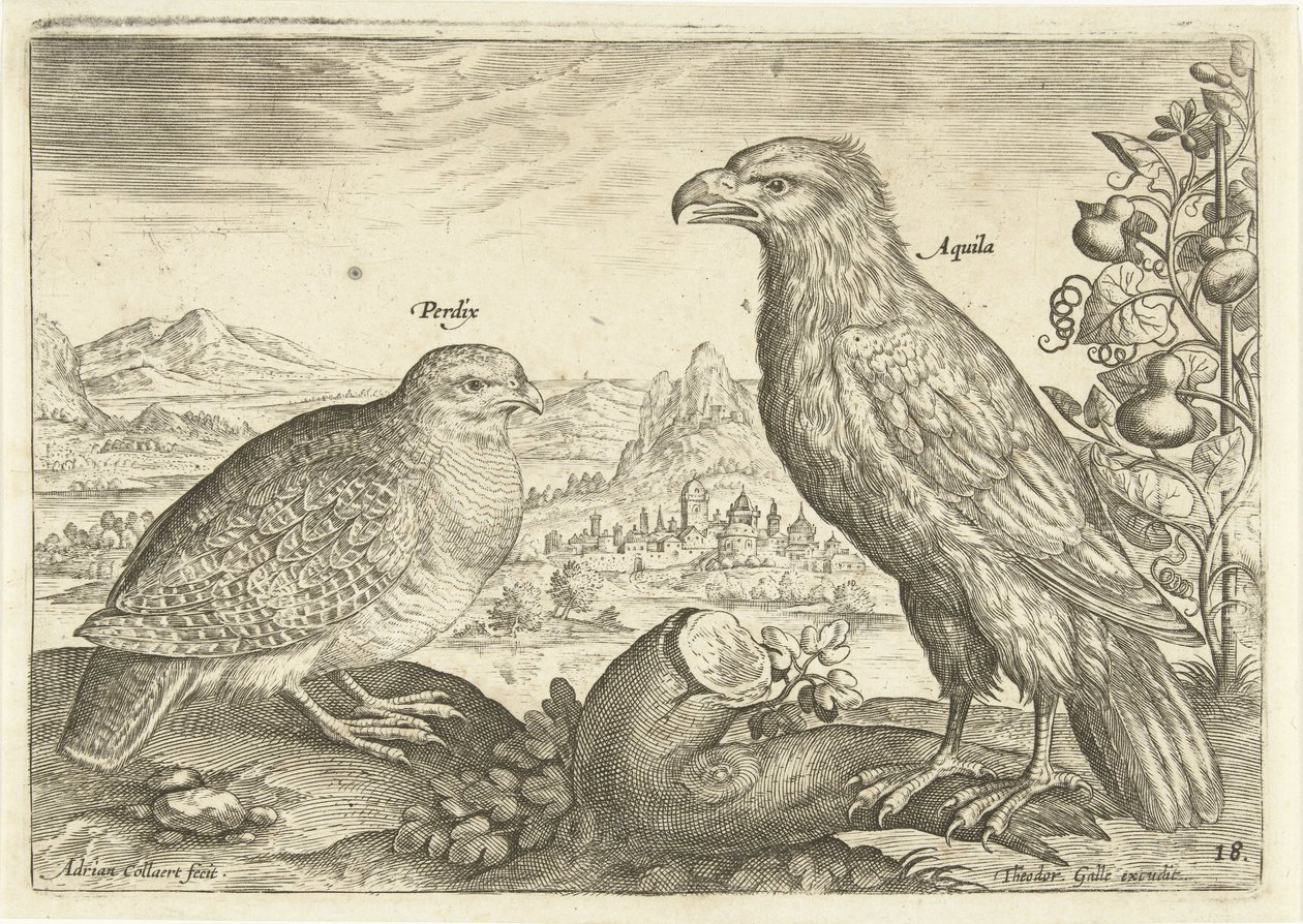 To fugler i et landskap Avium Vivae (serietittel) Fugler (serietittel) av Adriaen Collaert
