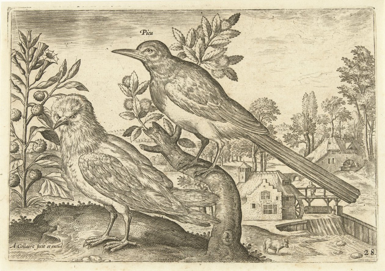 To fugler i et landskap Fugler (serietittel) Avium Vivae (serietittel) av Adriaen Collaert