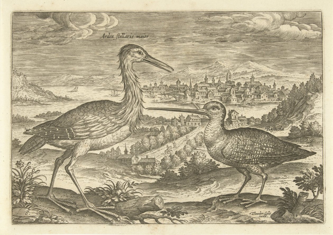 To fugler i et landskap Fugler (serietittel) Avium vivae (serietittel) av Adriaen Collaert