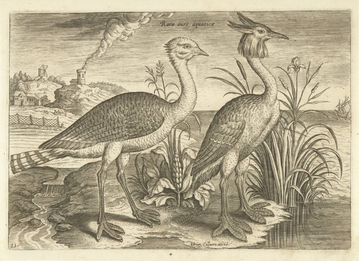 To vadefugler i et landskap Fugler (serietittel) Avivm vivae (serietittel) av Adriaen Collaert