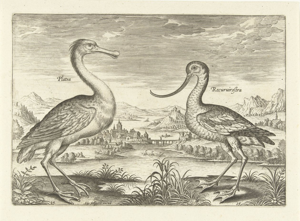 To vadefugler i et elvelandskap Fugler (serietittel) Avivm Vivae (serietittel) av Adriaen Collaert