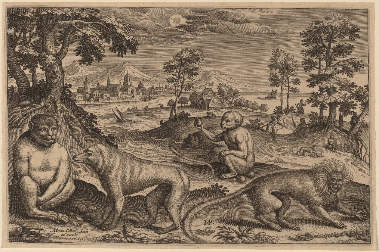 To aper og to aper av Adriaen Collaert