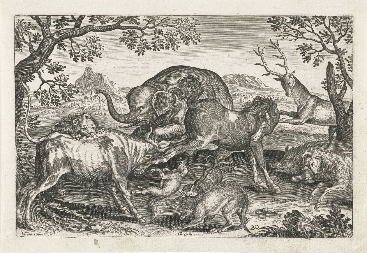 Kampdyr Firbeinte dyr (serietittel) Animalivm Qvaddrvpedvm (serietittel) av Adriaen Collaert