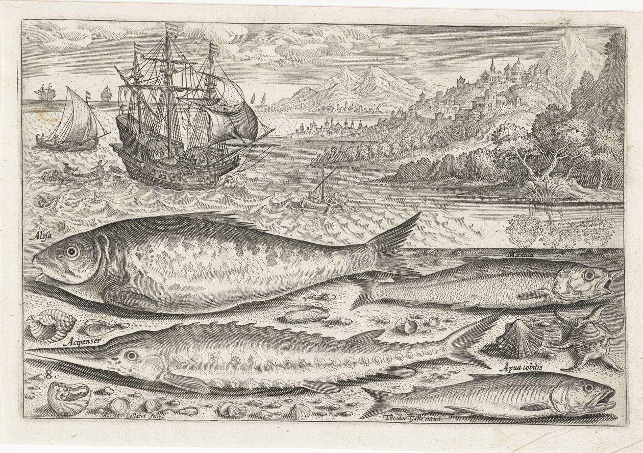 Fire fisker på stranden Fiske (serietittel) Piscium vivae-ikoner (serietittel) av Adriaen Collaert