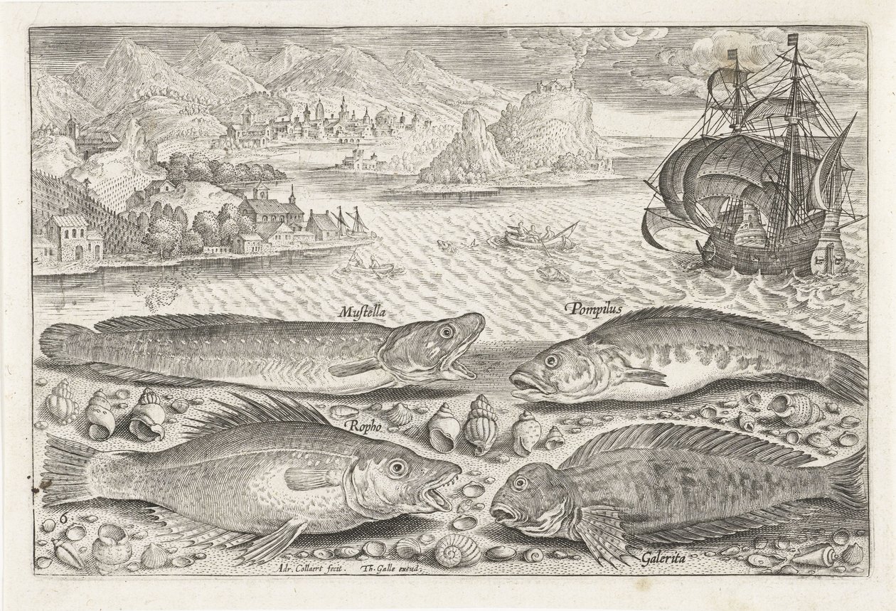 Fire fisker på stranden Fiske (serietittel) Piscium vivae-ikoner (serietittel) av Adriaen Collaert