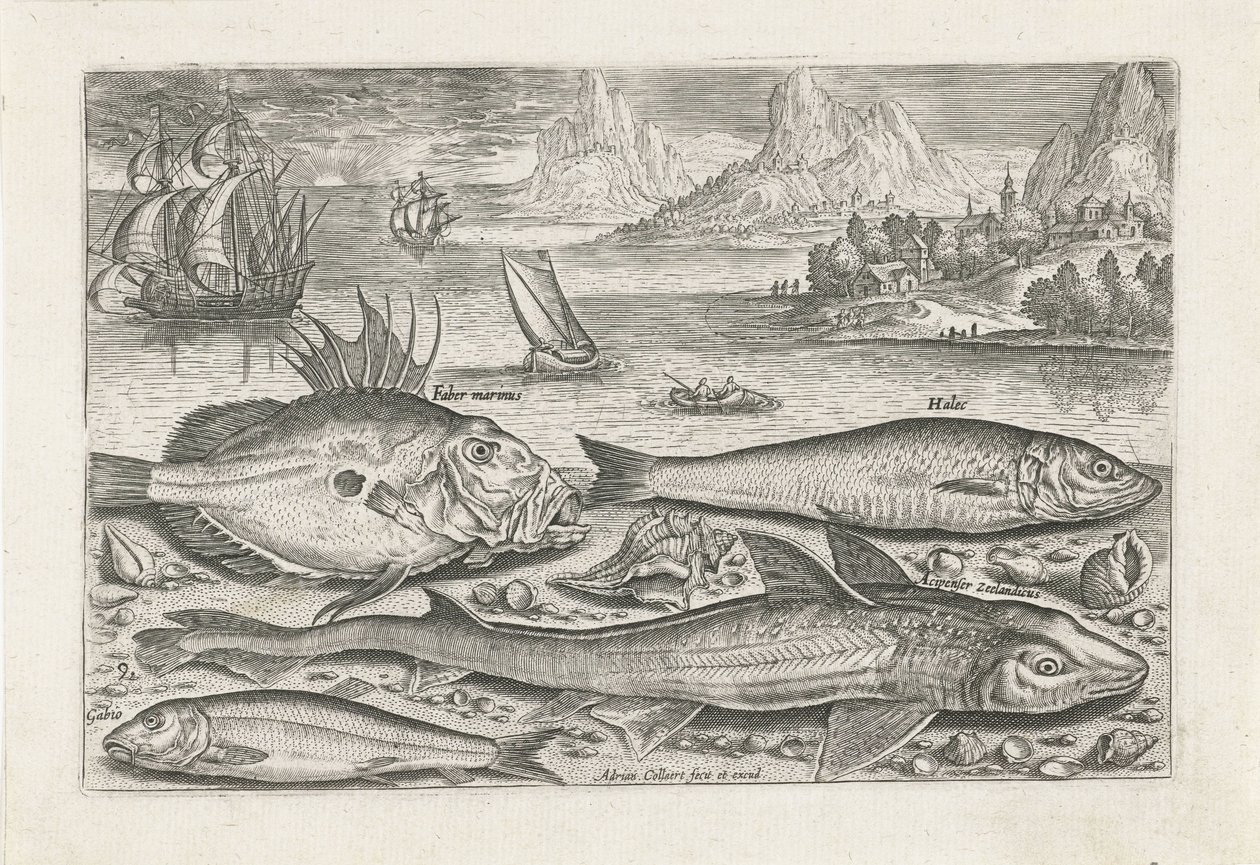 Fire fisker på stranden Fiske (serietittel) Piscium vivae-ikoner (serietittel) av Adriaen Collaert