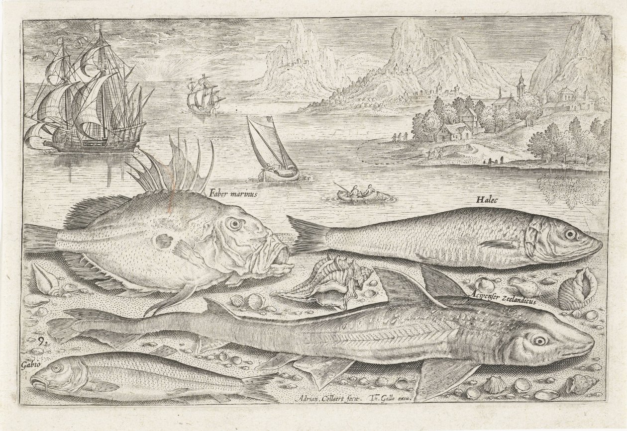 Fire fisker på stranden Fiske (serietittel) Piscium vivae-ikoner (serietittel) av Adriaen Collaert