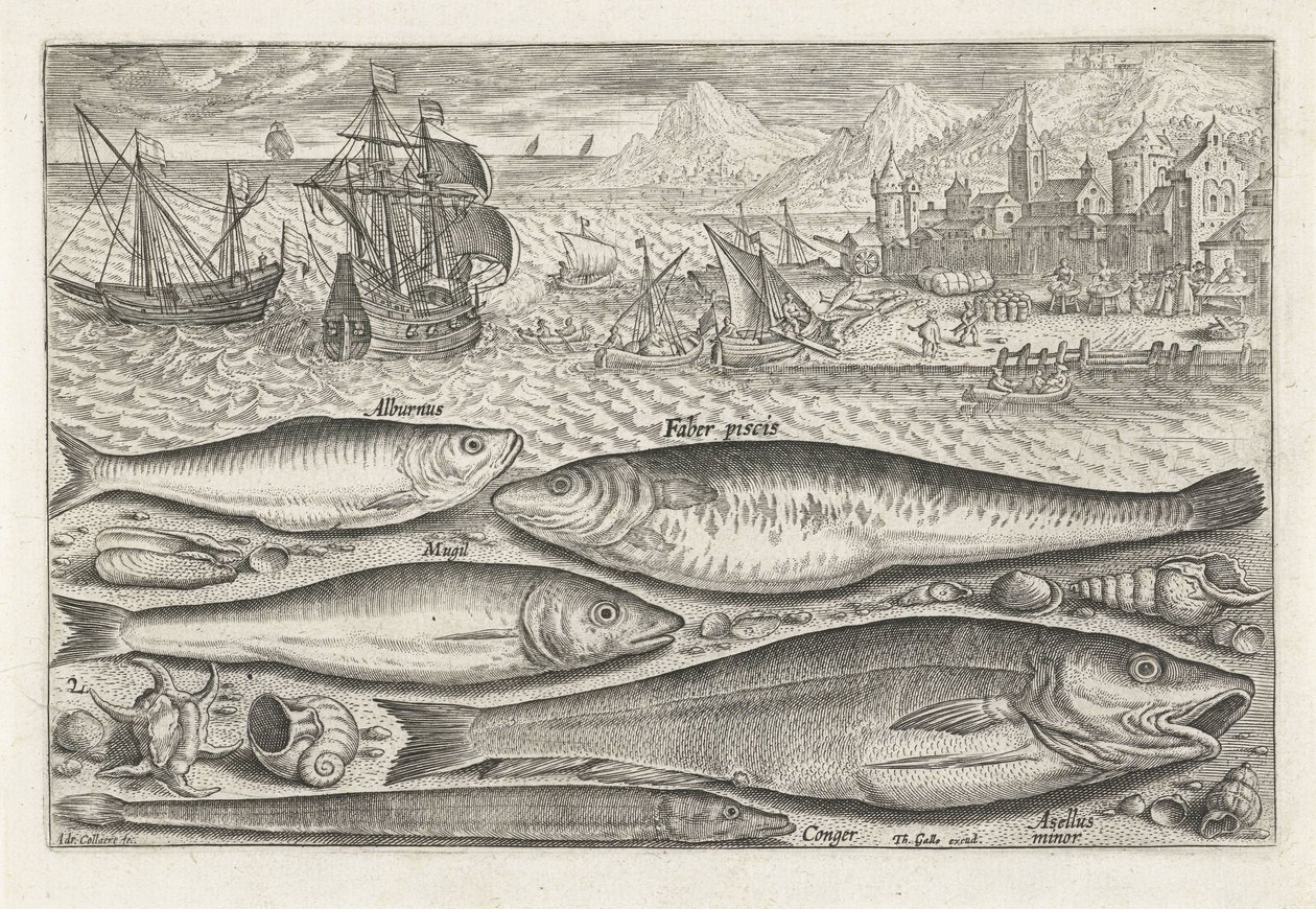 Fem fisker på stranden Fiske (serietittel) Piscium vivae-ikoner (serietittel) av Adriaen Collaert