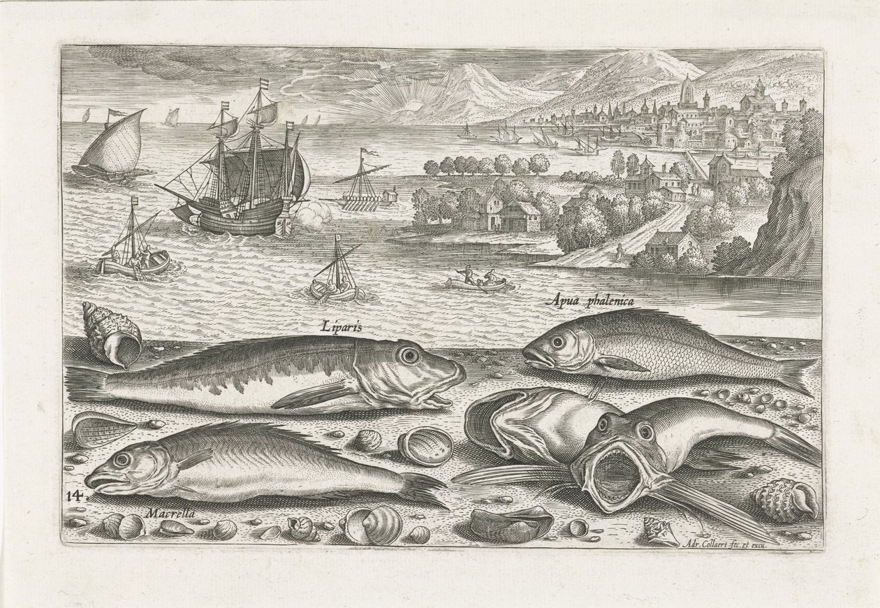 Fem fisker på stranden Fiske (serietittel) Piscium vivae-ikoner (serietittel) av Adriaen Collaert